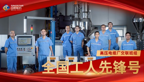 致敬!丨尊龙集团股份交联班组荣膺“全国工人前锋号”