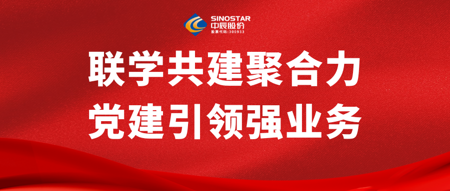 联学共建聚合力 党建引领强业务丨中信寰球商贸与尊龙集团股份发展党建共建活动