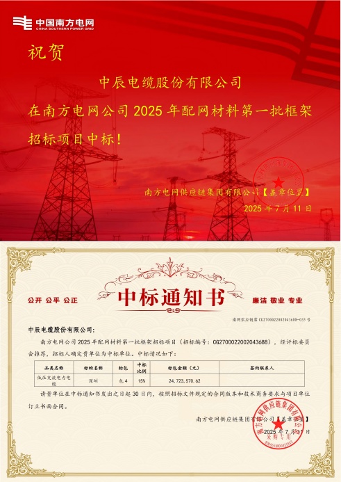 低压互换电力电缆-丽江-尊龙集团中标通知书-副本_00(1).jpg